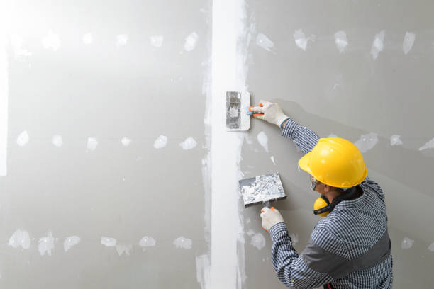 Best Attic Mold Removal  in Spanay, WA