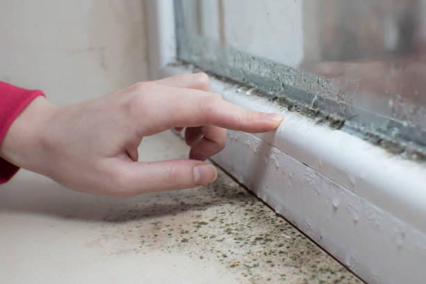 Best Mold Odor Removal Services  in Spanay, WA